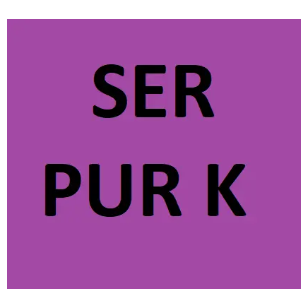 [SER-5010] 20 Lb Purple K Service Fire Extinguisher