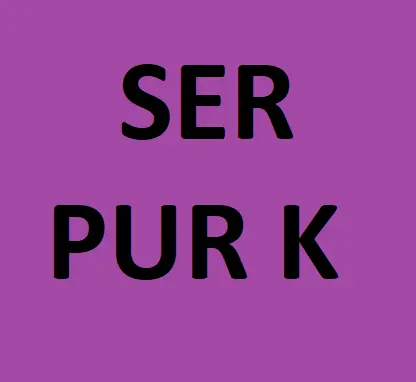 [SER-5010] Service 20 Lb Purple K Fire Extinguisher